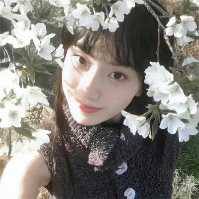 来不及道歉
